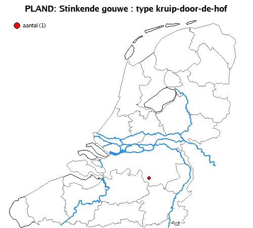 kruip-door-de-hof